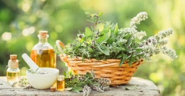 Plantas medicinais em uma cesta em uma mesa de pedra com óleos ao lado