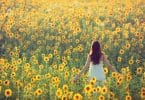 Mulher em pé em campo com flores amarelas