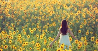 Mulher em pé em campo com flores amarelas