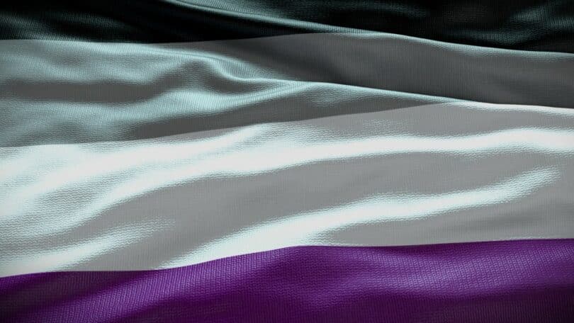 Imagem da bandeira que representa a asexualidade
