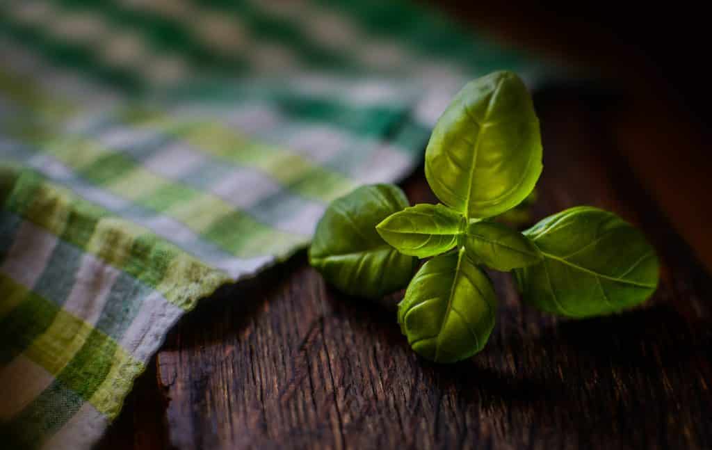 Imagem de uma folha de alfavaca sobre uma mesa de madeira.  Ao lado, uma toalha xadrez nas cores amarela, verde e branca.
