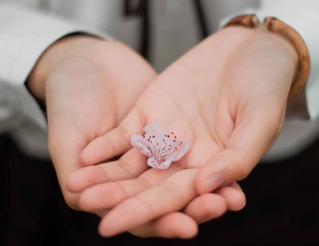 Duas mãos segurando uma pequena flor.