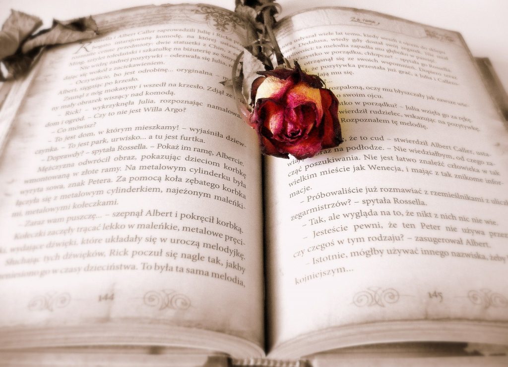 Imagem de um livro aberto e no meio dele uma rosa nas cores vermelho e amarelo.