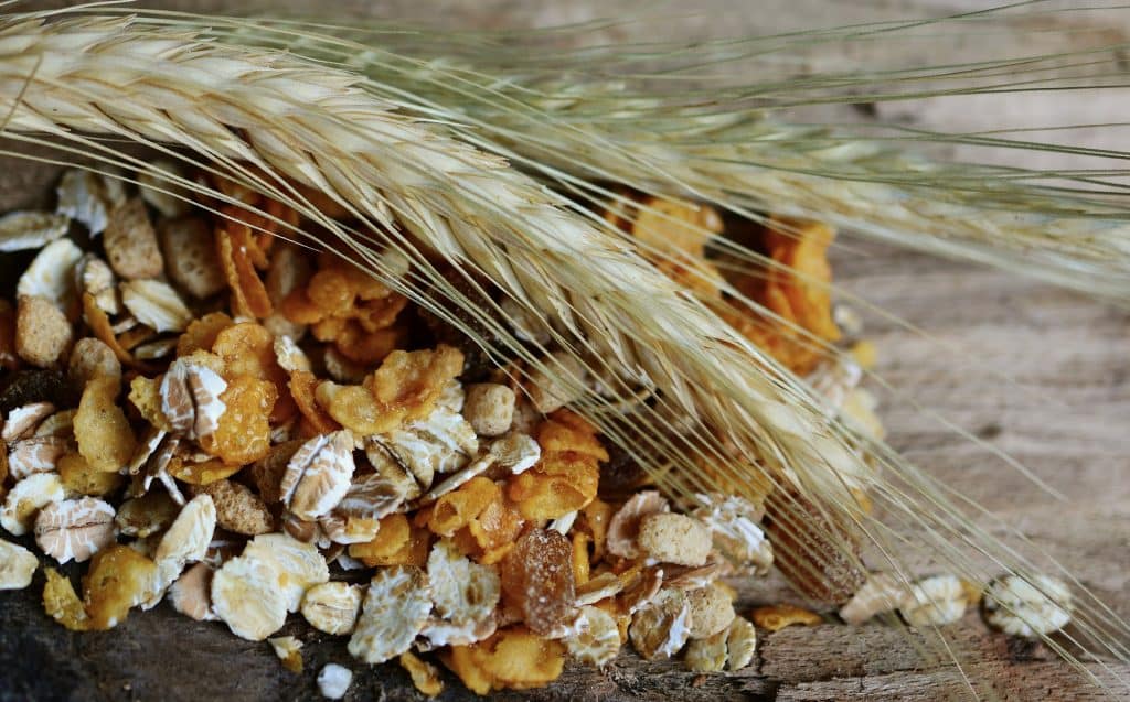 Imagem de vários cereais que foram selecionados para o preparo da barra de cereal.
