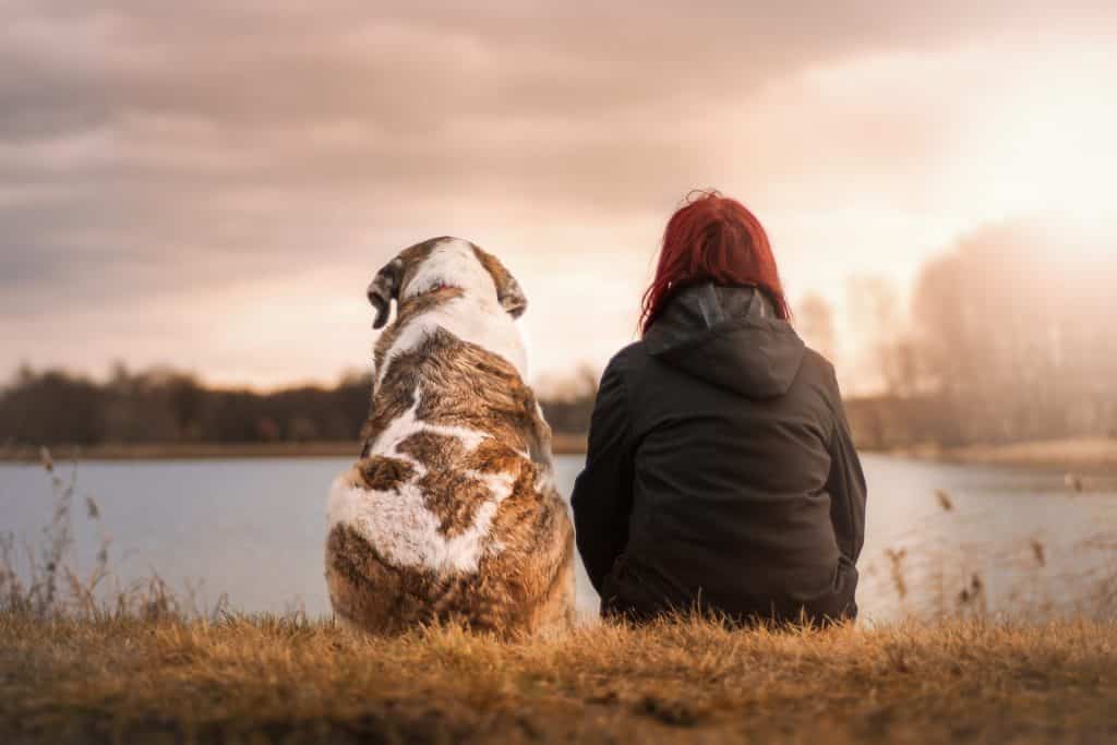 Imagem de uma mulher e o seu cão. Ambos estão de costas olhando para um lago. Eles são bons amigos.
