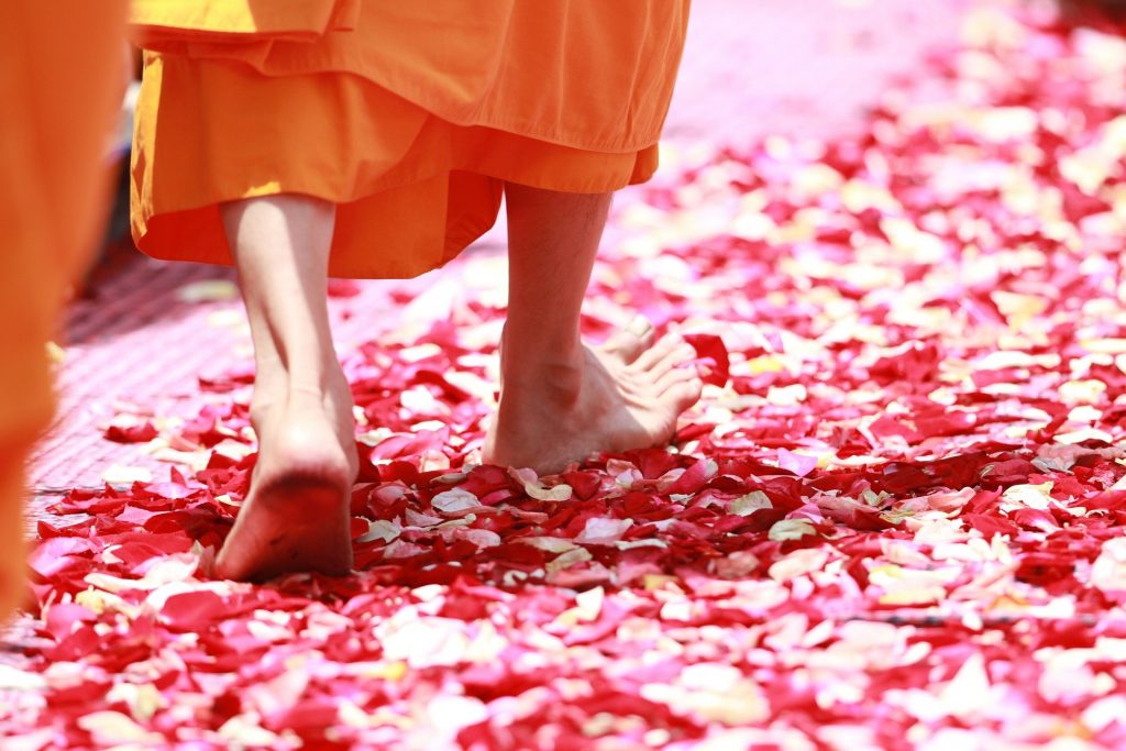 Imagem de um monge budista caminhando sobre pétalas de rosas e flores nas cores rosa e vermelho.
