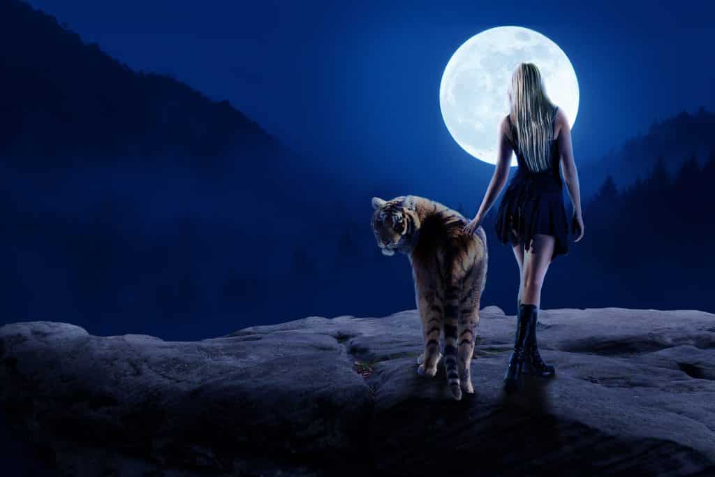 Imagem de uma pedra gigante e sobre ela um tigre e uma mulher lado a lado. Ao fundo a linda lua cheia.