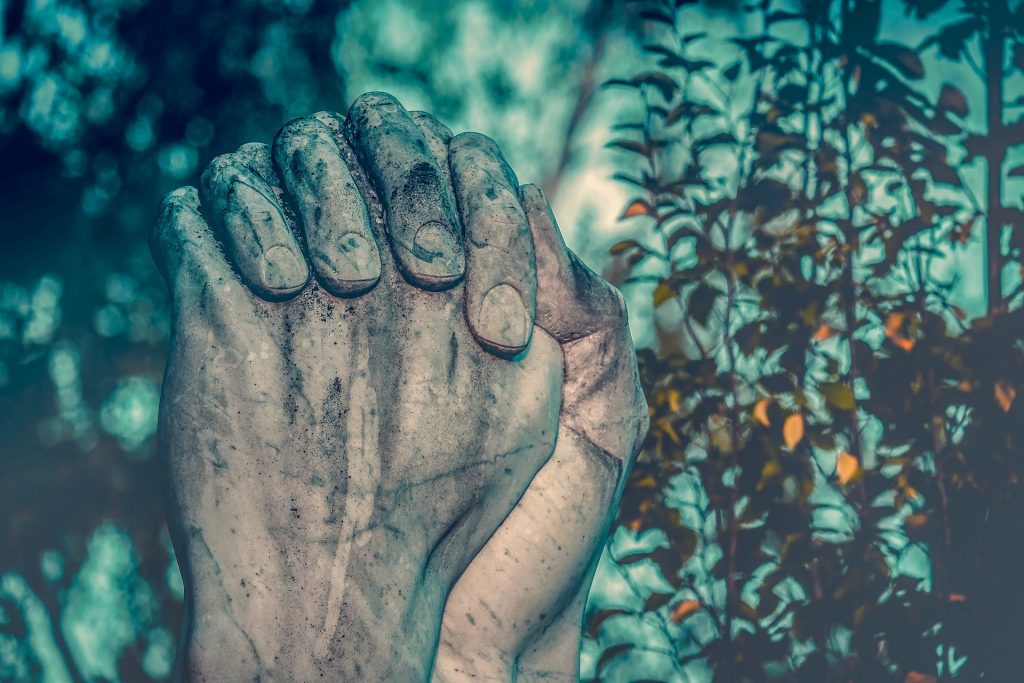 Imagem das mãos em posição de oração. Ao fundo uma floresta, representando a oração do perdão.

