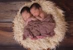 Imagem de dois bebês masculinos gêmeos recém nascidos deitados sobre um cesto forrado com uma manta de pelos. Eles estão cobertos com um tecido marrom.