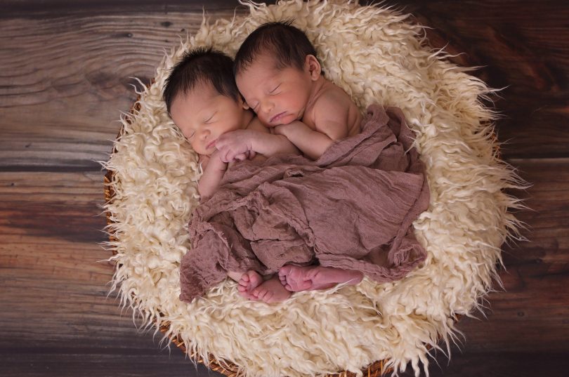 Imagem de dois bebês masculinos gêmeos recém nascidos deitados sobre um cesto forrado com uma manta de pelos. Eles estão cobertos com um tecido marrom.