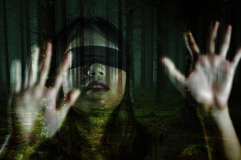 Imagem de um dos atores do filme Bird Box. Ela está com os olhos vendados e com as mãos sobre uma janela de vidro.
