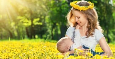 Imagem de um lindo campo florido com flores amarelas. Ao fundo uma mãe amamentando o seu filho.