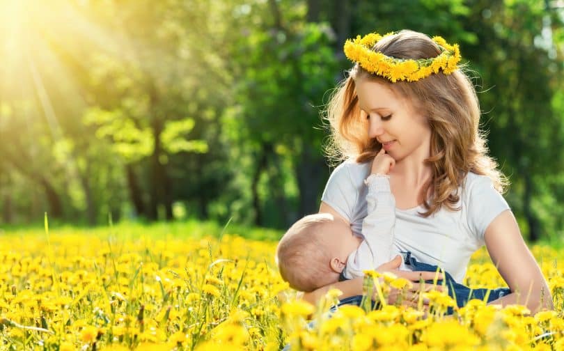 Imagem de um lindo campo florido com flores amarelas. Ao fundo uma mãe amamentando o seu filho.