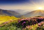 Paisagem montanhosa vista durante o dia, com flores desabrochando e a luz do sol percorrendo o cenário.