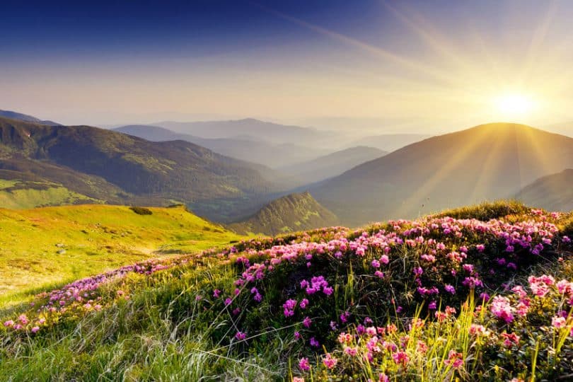 Paisagem montanhosa vista durante o dia, com flores desabrochando e a luz do sol percorrendo o cenário.