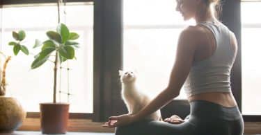 Mulher sentada no chão ao lado de seu gato, meditando.