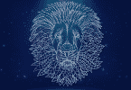 Ilustração de um leão.