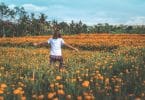 Mulher caminhando em um campo de flores