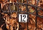 Imagem de um portão de ferro e nele está fixado o número 12.