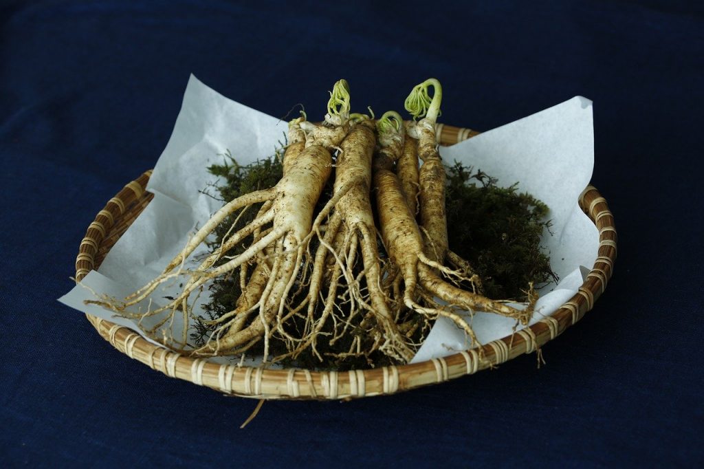 Prato com raízes de ginseng sobre uma mesa.