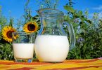 Imagem de uma jarra e um copo de vidro com leite puro. Ao fundo uma plantação e uma flor de girassol.