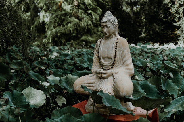 Imagem de Buda sentado entre folhas verdes