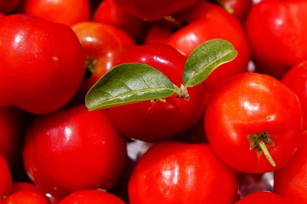 Imagem ampliada de frutas de acerola.