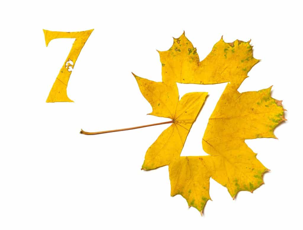 Número 7 na Numerologia veja o significado dele! Número 7 na Numerologia veja o significado dele!