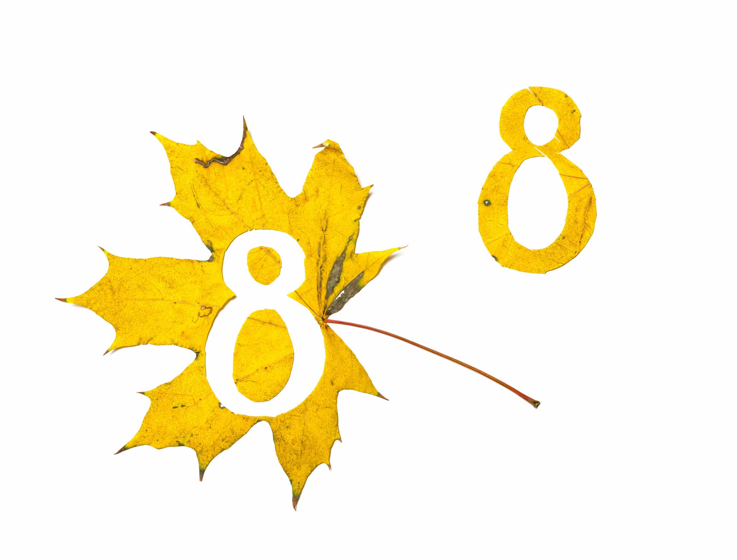 Número 8 na Numerologia: investigue o que ele significa