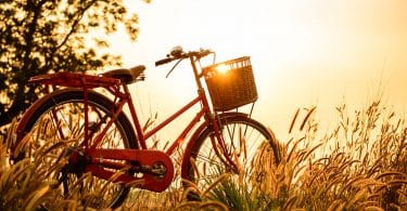 Bicicleta vermelha num campo durante o pôr-do-sol