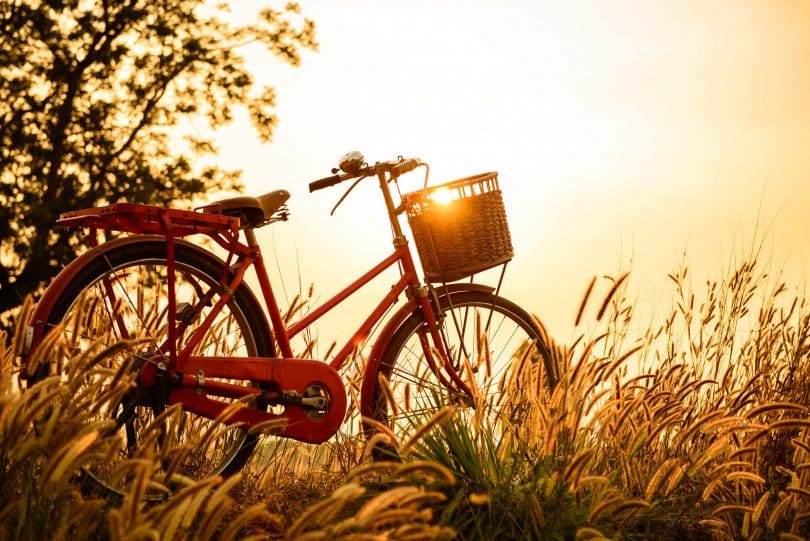 Bicicleta vermelha num campo durante o pôr-do-sol