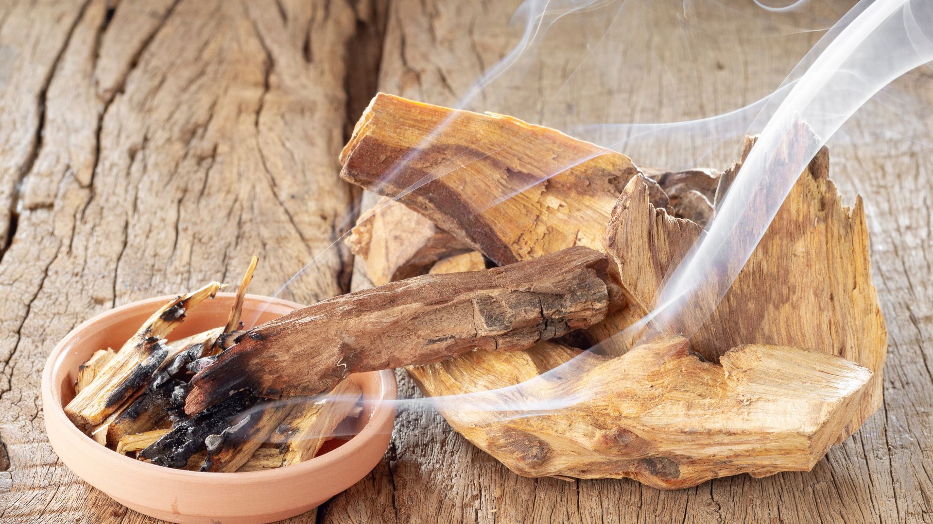 Conheça o significado espiritual do Palo Santo