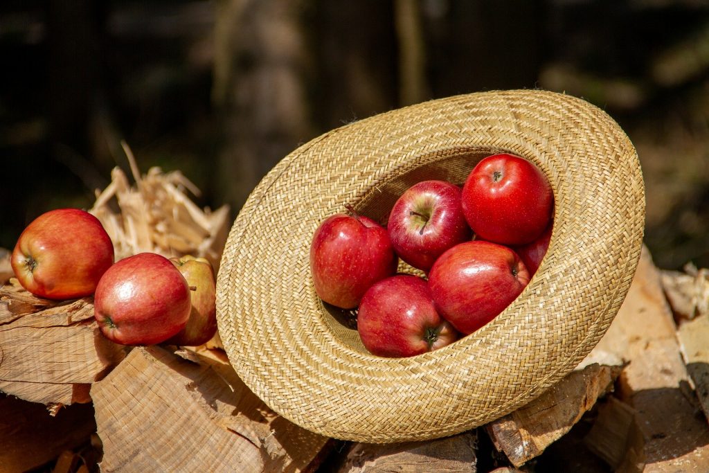 Imagem de um chapéu de palha com cinco maçãs vermelhas dentro dele. Ao lado outras três maçãs compõem a imagem.
