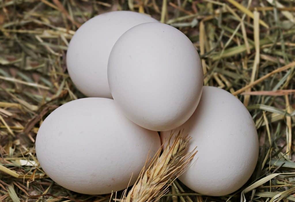 Imagem de quatro ovos brnacos inteiros dispostos sobre uma palha.
