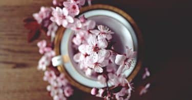 Xícara de chá com flores dentro