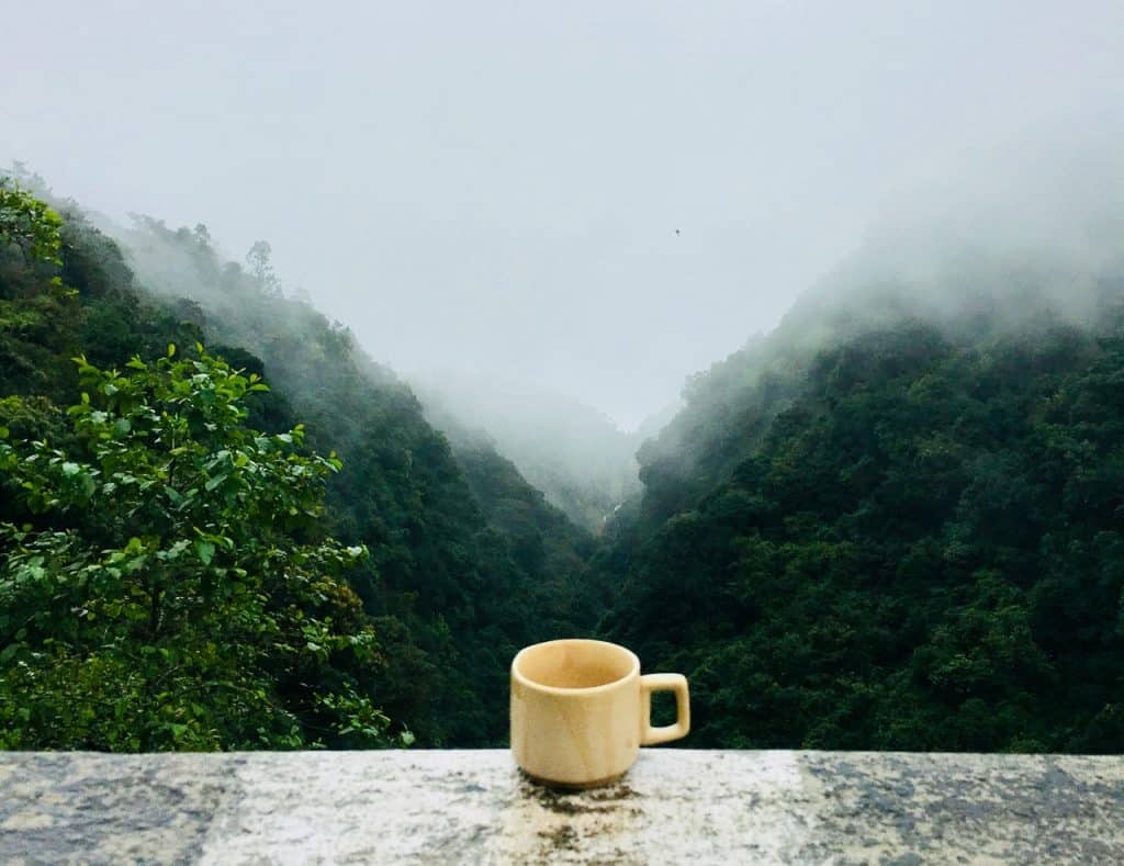 Foto de uma caneca em frente a uma montanha.