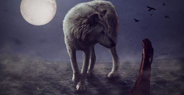 Imagem de um anoitecer com um lindo lobo branco e ao fundo a imagem da lua cheia.