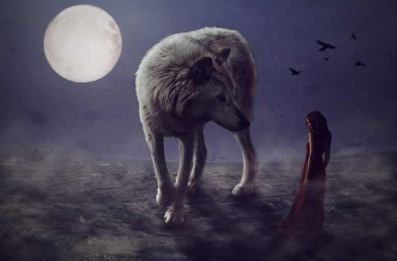 Imagem de um anoitecer com um lindo lobo branco e ao fundo a imagem da lua cheia.