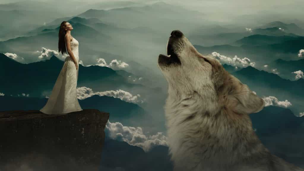 Imagem de um penhasco. Uma linda mulher está na beira da montanha olhando para um grande lobo branco que está a uivar.