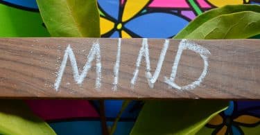 Palavra "mente" escrita em inglês num pedaço de madeira.