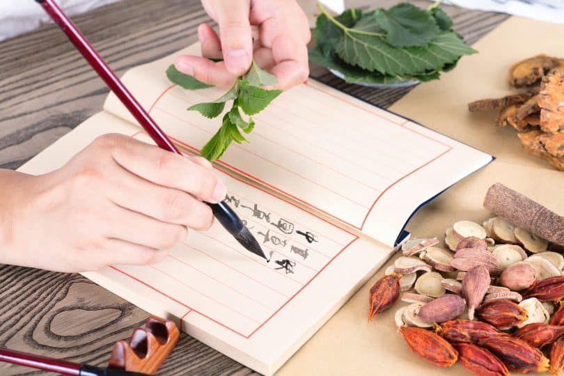 Pessoa escrevendo num caderno com dentes de alho e folhas ao redor.