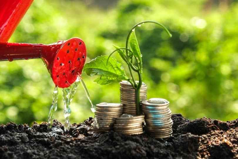 Regador jogando água em planta com moedas ao lado