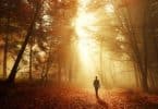 Homem andando em floresta seca com luz refletindo