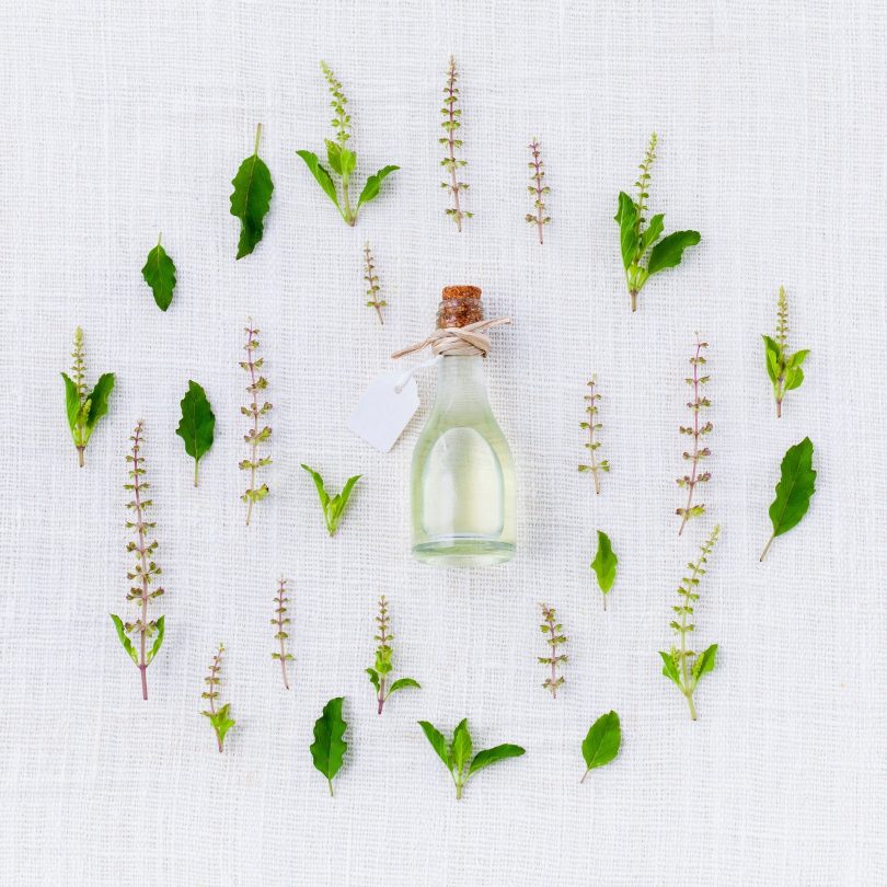 Imagem de um frasco de óleo essencial feito de manjericão e outras ervas. Ao lado do frasco, vários tipos de ervas e de manjericão.