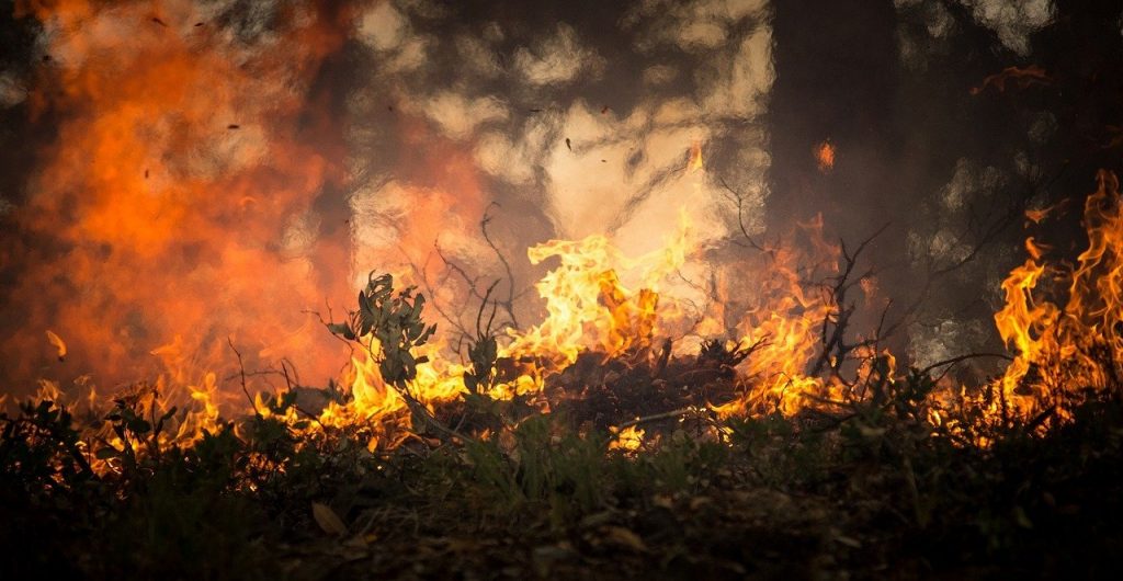 Imagem de uma queimada no Pantanal.