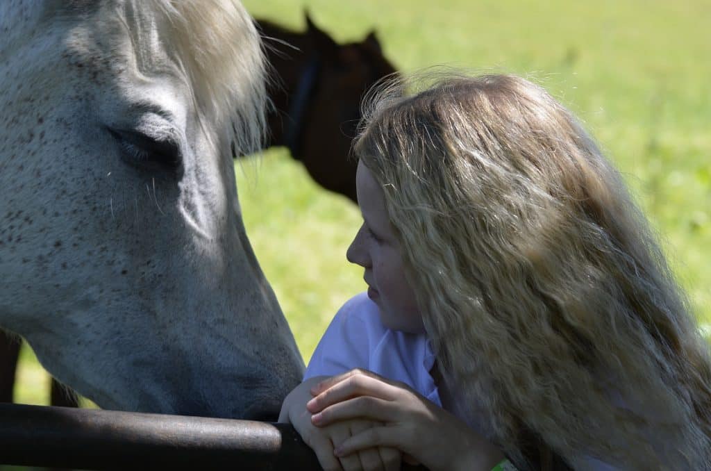 Imagem de uma moça jovem e loira e ao seu lado um cavalo branco. Eles se olham e essa imagem representa a gentileza que devemos ter com os animais.
