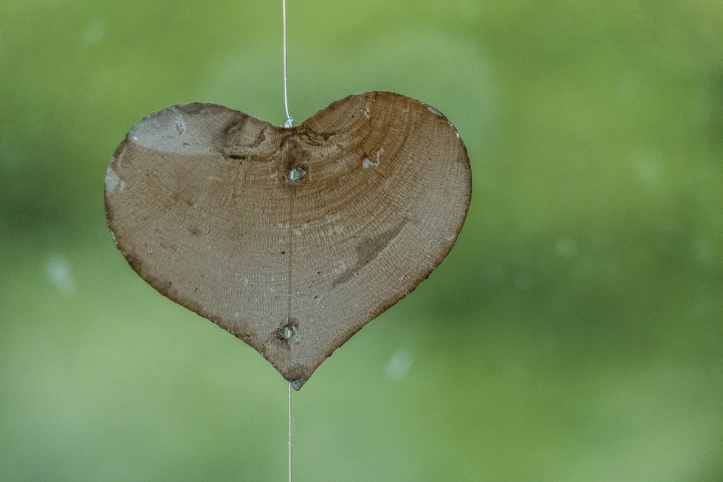 Imagem de um coração talhado em uma madeira leve, suspenso por um fio de nylon, representando o amor próprio.
