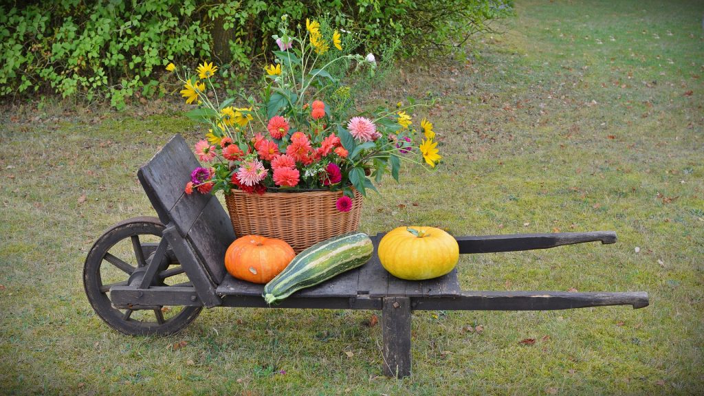 Imagem de uma decoração para celebrar o dia de ação de graças. Trata-se de uma carroça de madeira escura e sobre ela um cesto e palha com flores e três tipos de abóbora.
