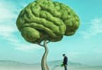 homem regando uma grande árvore em forma de cérebro humano em um campo verde.