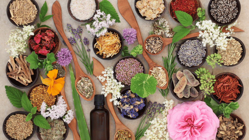 Diversas plantas, flores e ervas sobre uma mesa.